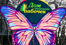 Дом тропических бабочек в Ташкенте