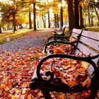 Осенняя акция в La Рiola