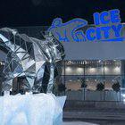 Ice City