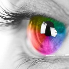 Лекция «Цветное зрение: как и для чего»
